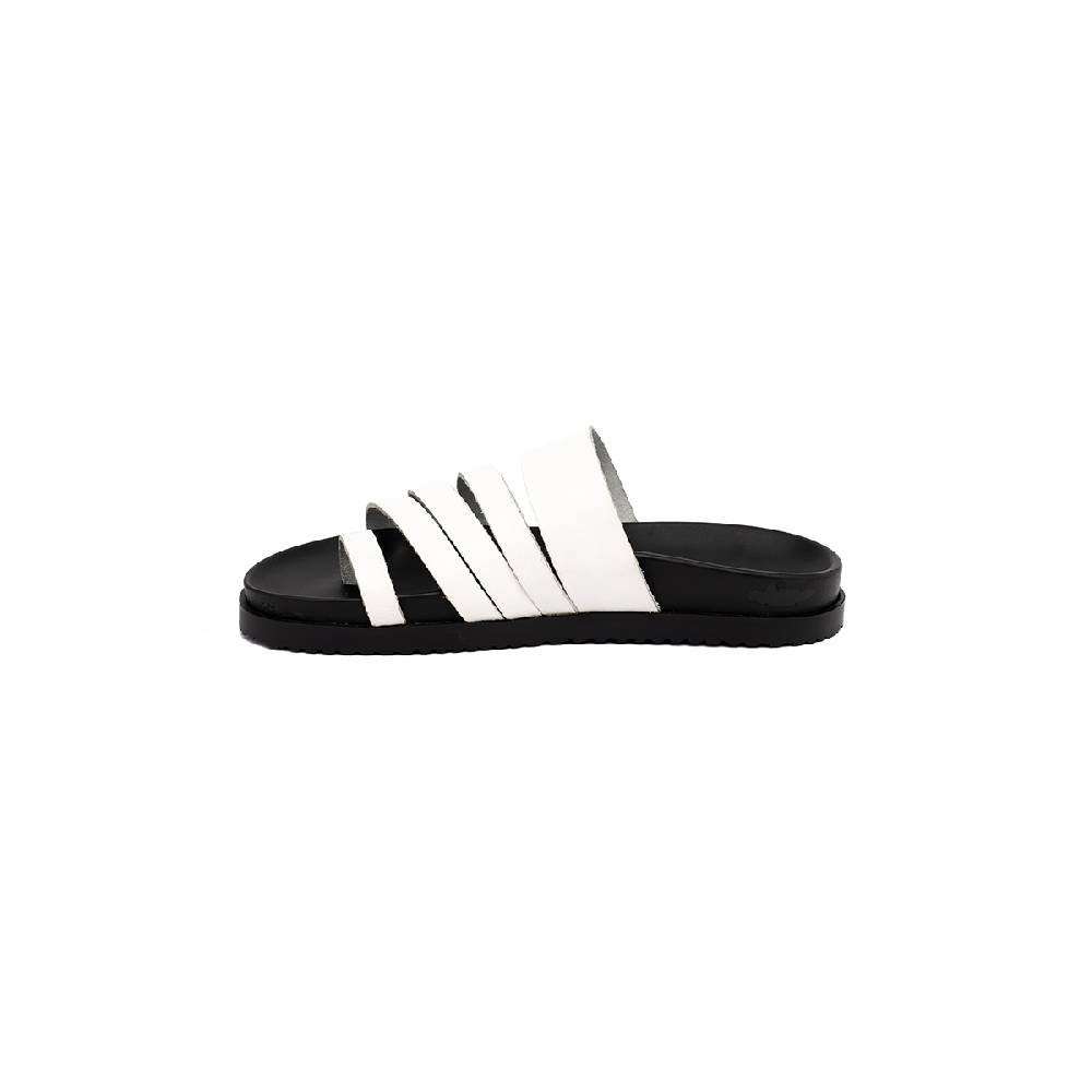 J.P. David Sirocco Offerta speciale
