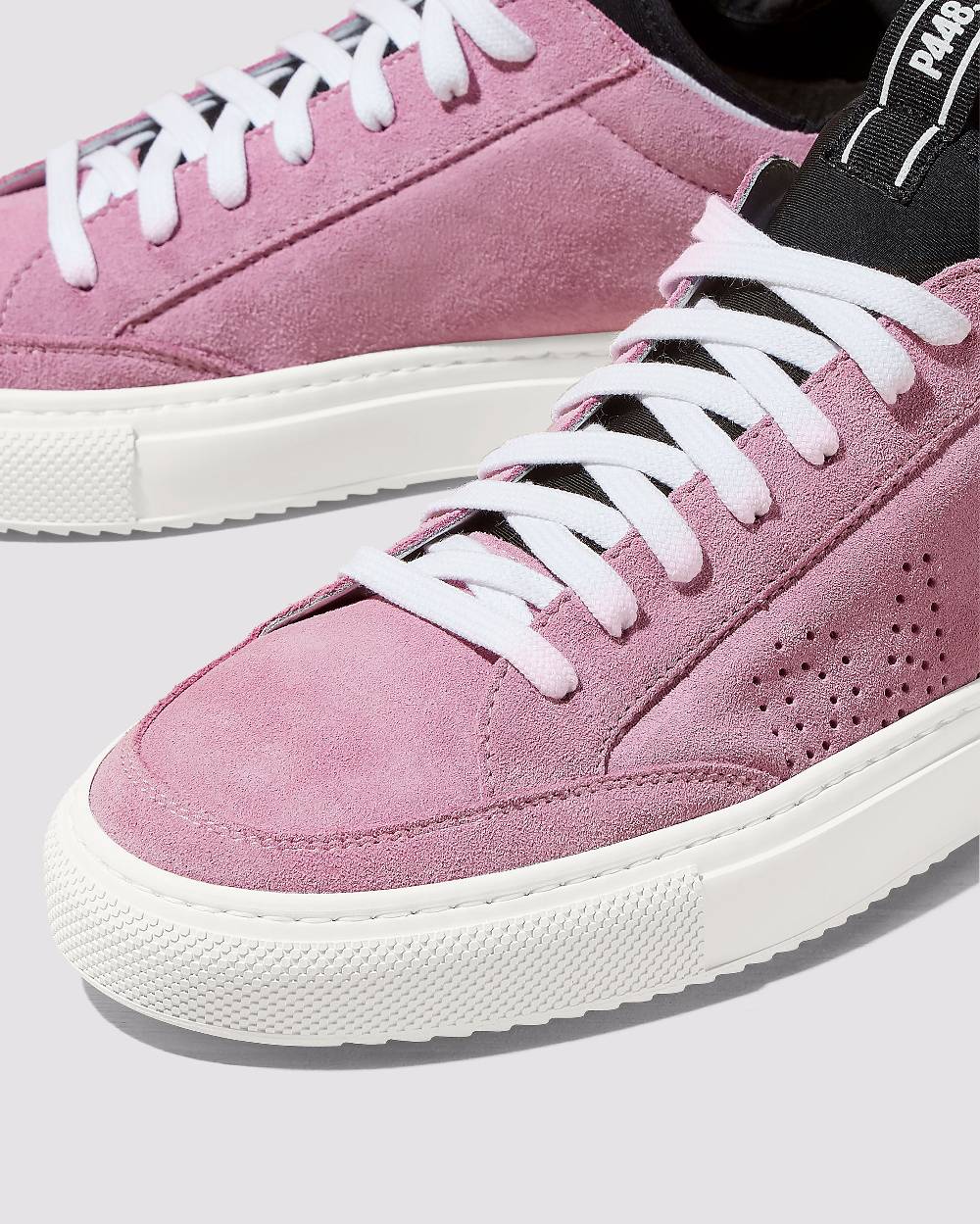 P448 Sohosocks Pink Novità
