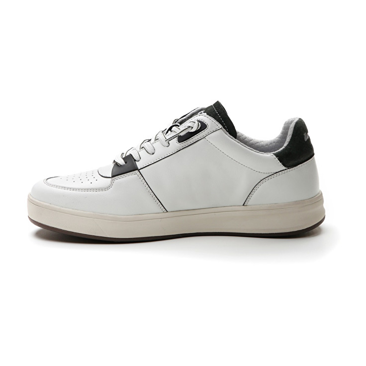 Lotto SIGNATURE EDGE Convenienza
