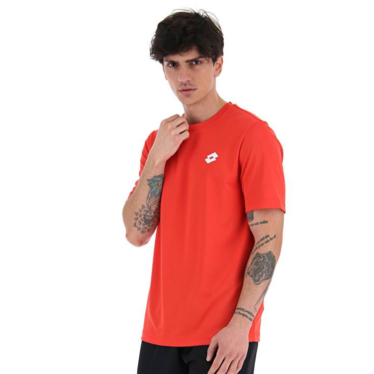 Lotto MSP TEE