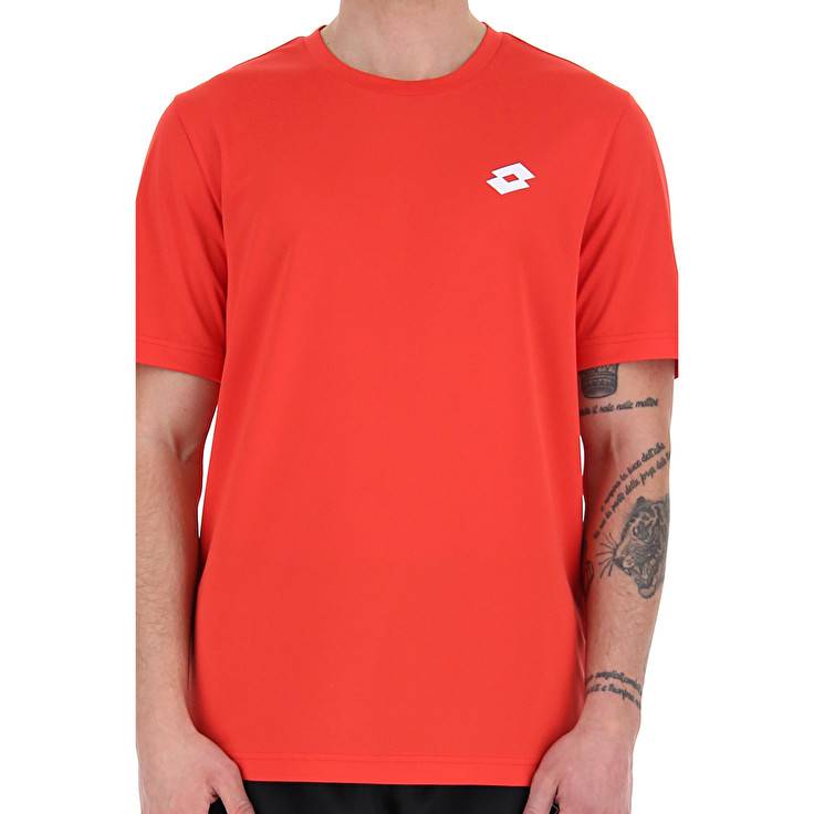 Lotto MSP TEE In Saldo