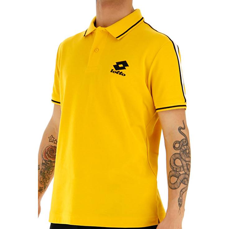 Lotto POLO LIPARI PQ In Linea